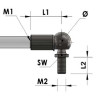 Terminal ojal M8 · Resortes de Gas Inox